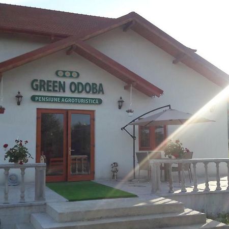 Pensiunea Agroturistica Green Odoba Satuc Экстерьер фото