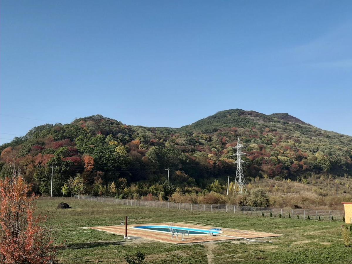 Pensiunea Agroturistica Green Odoba Satuc Экстерьер фото