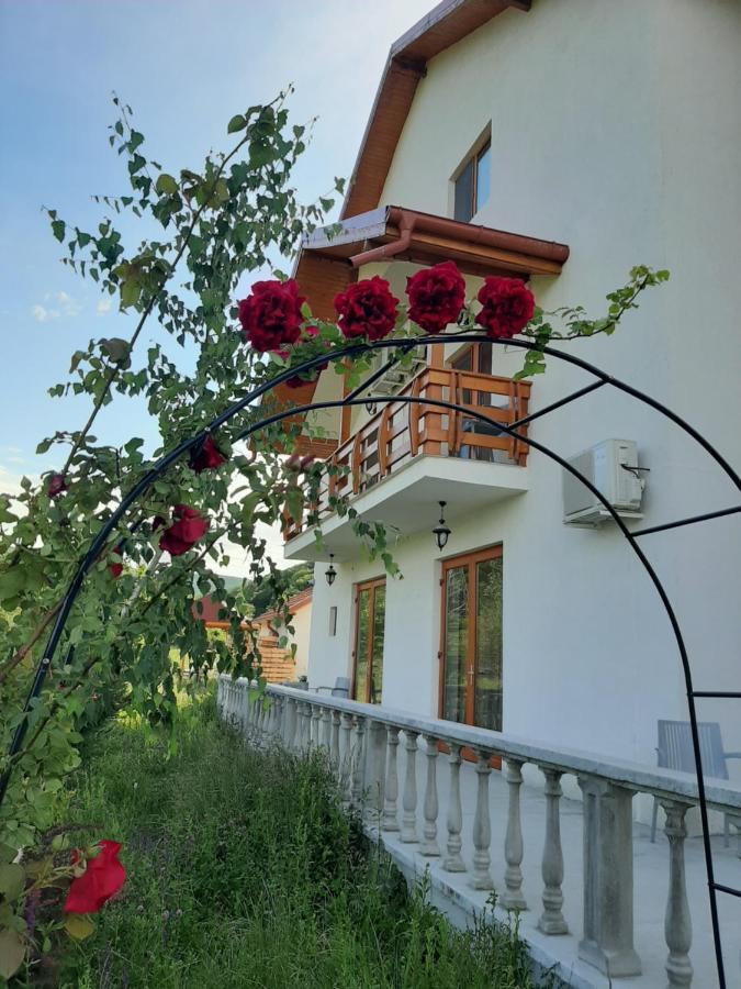 Pensiunea Agroturistica Green Odoba Satuc Экстерьер фото