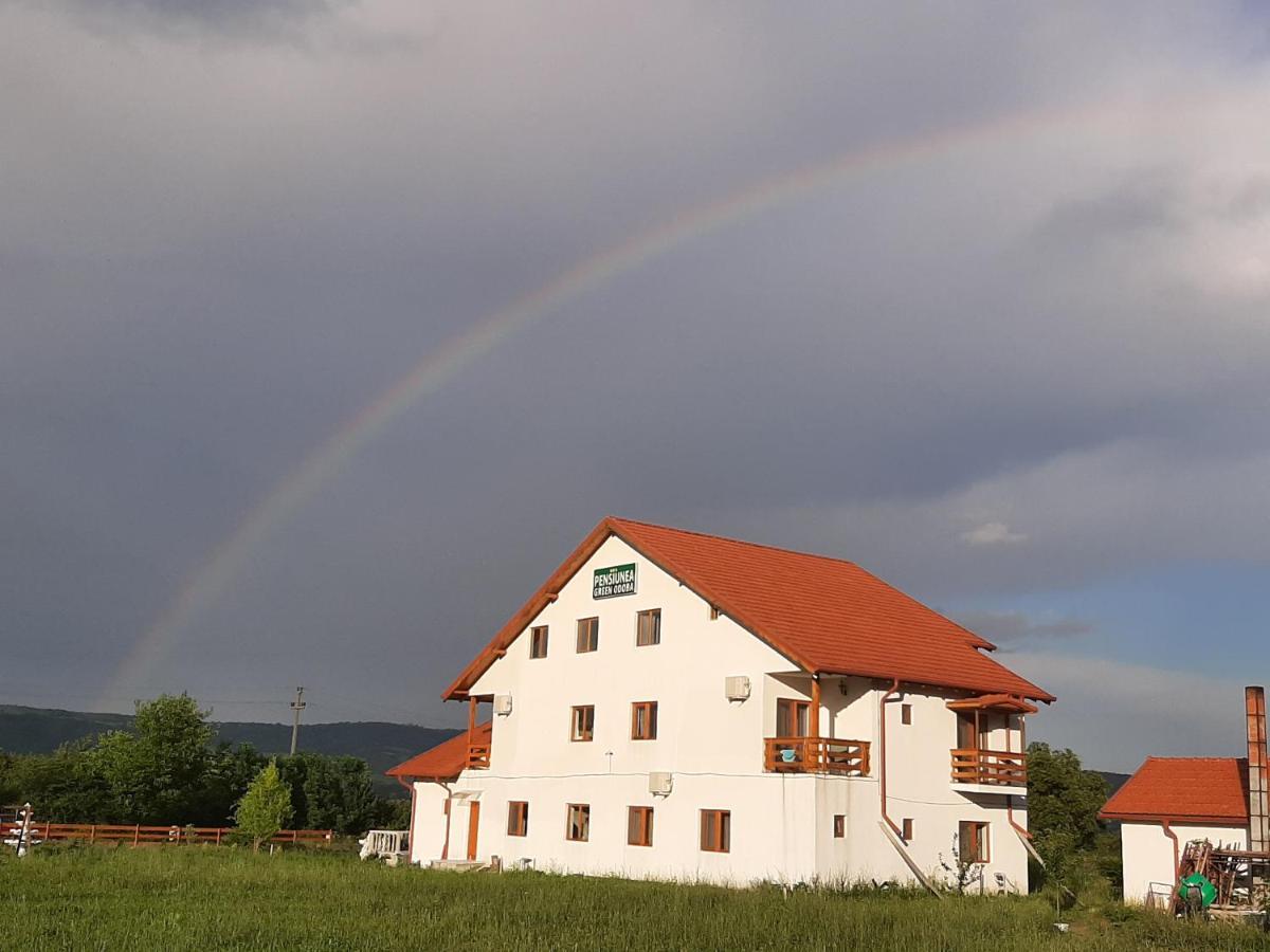 Pensiunea Agroturistica Green Odoba Satuc Экстерьер фото