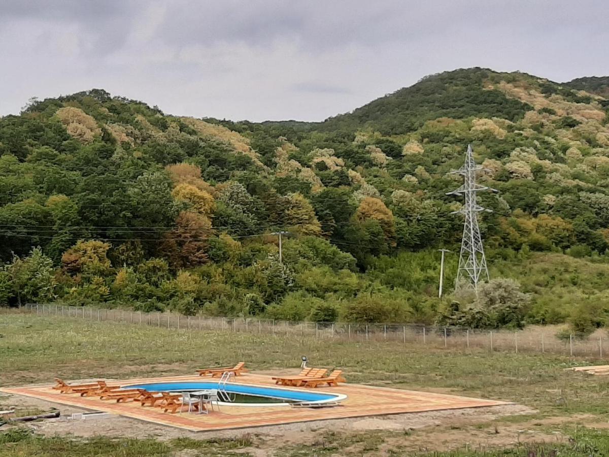 Pensiunea Agroturistica Green Odoba Satuc Экстерьер фото