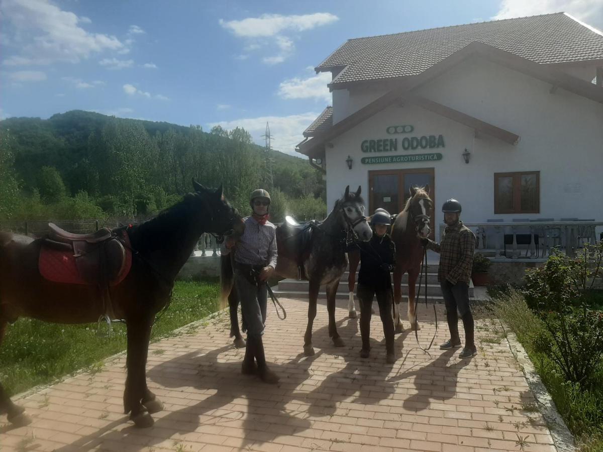 Pensiunea Agroturistica Green Odoba Satuc Экстерьер фото