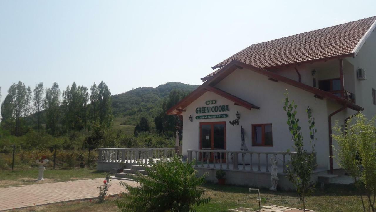 Pensiunea Agroturistica Green Odoba Satuc Экстерьер фото